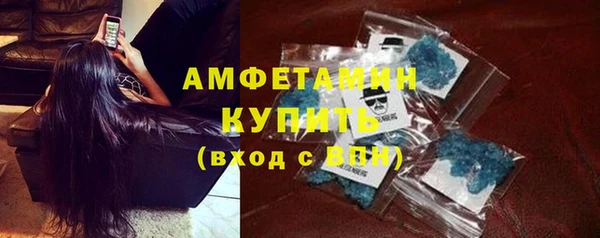 ГАЛЛЮЦИНОГЕННЫЕ ГРИБЫ Дмитриев
